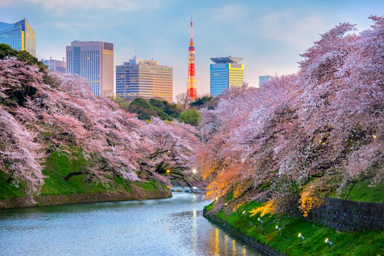 日本旅游攻略 最佳的季节是什么时候 当地玩乐攻略游记 路路行旅游网
